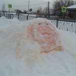 DSC07273