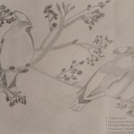 Шубина Марина, 11 класс